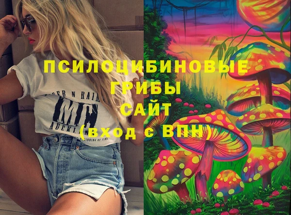 эйфоретик Покачи
