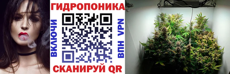 Бошки Шишки семена  Тобольск 